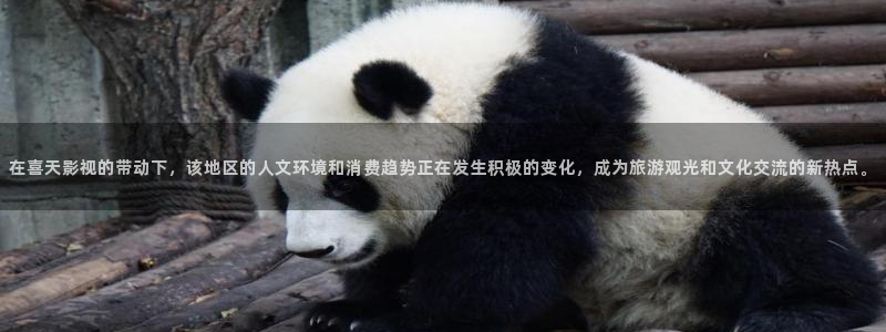金桔影视app：在喜天影视的带动下，该地区的人文环境和消费趋势正在发生积极的变化，成为旅游观光和文化交流的新热点。