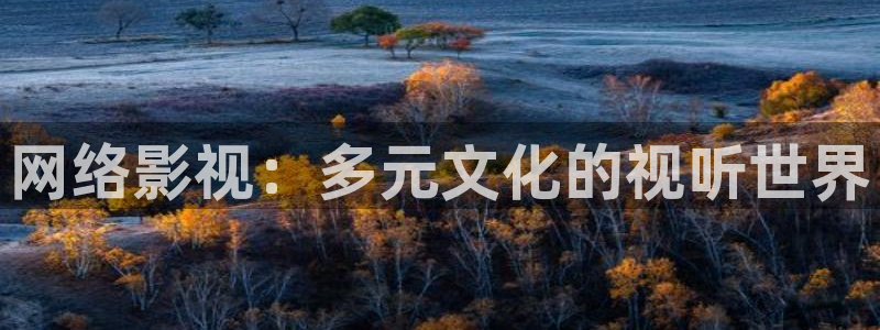 下载金桔影视：网络影视：多元文化的视听世界