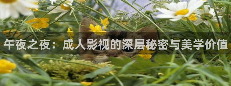金桔利咽清喉片：午夜之夜：成人影视的深层秘密与美学价值