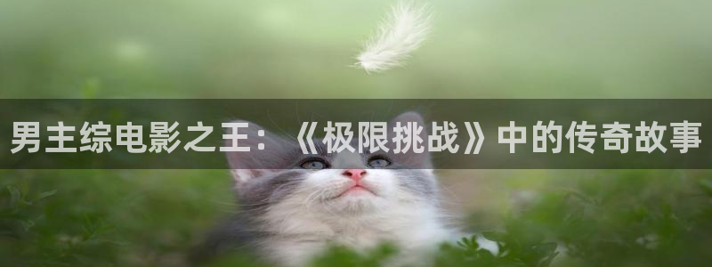 金桔影院：男主综电影之王：《极限挑战》中的传奇故事