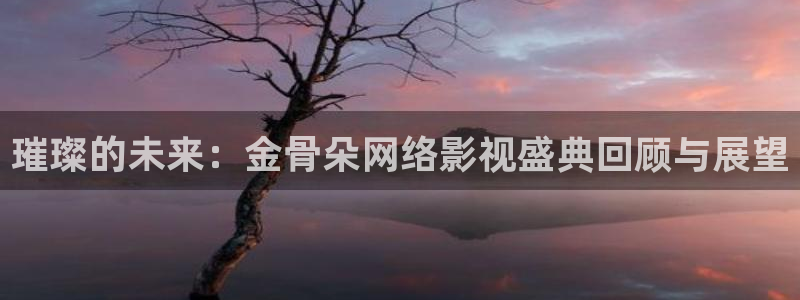 冰糖金桔的做法视频：璀璨的未来：金骨朵网络影视盛典回顾与展望