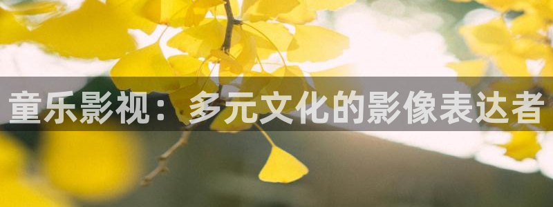 金桔影视app：童乐影视：多元文化的影像表达者