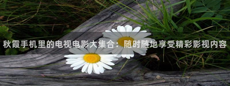 金桔视频：秋霞手机里的电视电影大集合：随时随地享受精彩影视内容